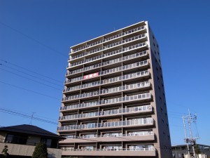 ポレスター光の森